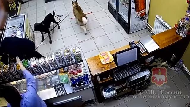 мужчина сломал позвоночник девушке, которая зашла в магазин с двумя собаками !!!