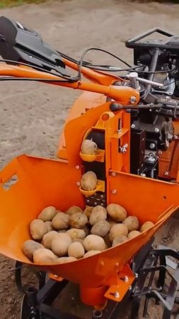 Мотоблок PATRIOT и навесной картофелесажалки КСМ-1.🥔