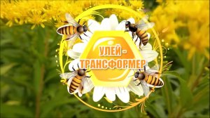 УЛЕЙ ЛЕЖАК НА 24 РАМКИ - ТРАНСФОРМЕР