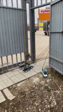 Ленточки на прогулке 🐕🐕😁