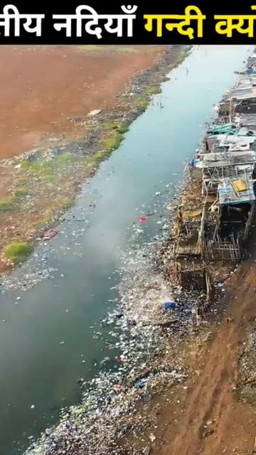 Bharat ki nandi itni gandi kyu#shorts #viral #youtubeshorts #news #trending смотреть онлайн