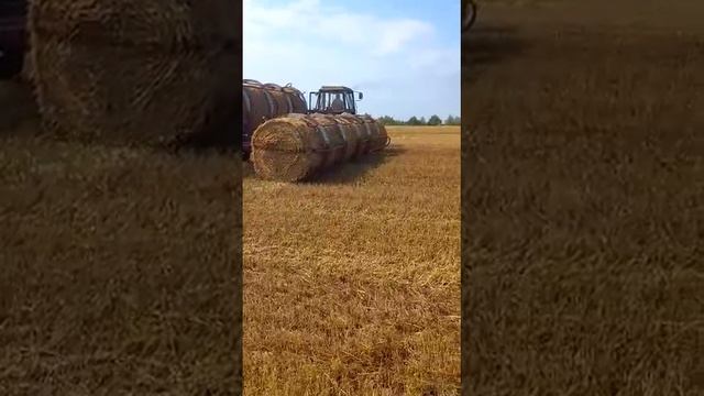 Рулоновоз в работе  (часть 2)