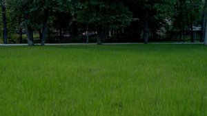 ТОПГРУНТ — производство и доставка плодородного грунта по Москве и области (1)