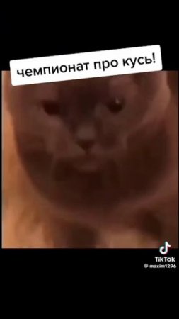 подпишись