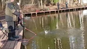 Запуск и первые поимки форели. Спорт-зона. Клёвое место Лосиный остров.