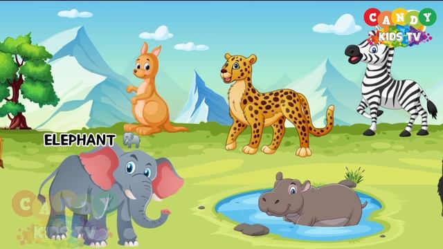 Wild Animal Phonics A to Z for Kids and Toddlers | #cartoons | Learn & Play |  #colorcandykidsTV