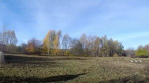 КУПИЛИ ДОМ В ДЕРЕВНЕ. КАТАНИЕ НА ЛОШАДИ