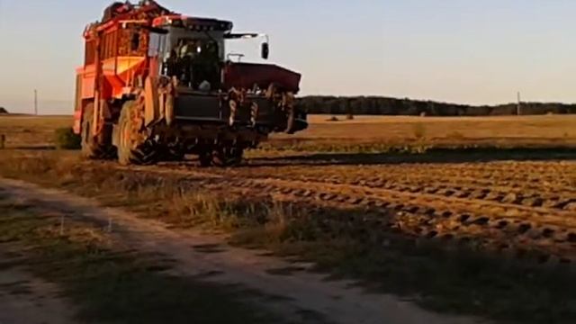Уборка свеклы в Белоруссии-Холмер Т3 смотреть онлайн