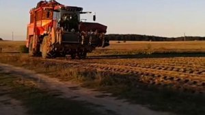 Уборка свеклы в Белоруссии-Холмер Т3