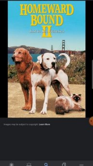 Happy 27th Anniversary Homeward Bound II Lost In San Francisco (1996)