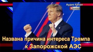 Названа причина интереса Трампа к Запорожской АЭС