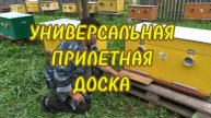 УНИВЕРСАЛЬНАЯ ПРИЛЕТНАЯ ДОСКА ДЛЯ УЛЬЯ, ИЛИ 1000 МЕЛОЧЕЙ С ПАСЕКИ (UNIVERSAL MIGRATORY BOARD)