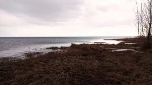 Немножко весеннего, залипательного Азовского моря Вам в ленту