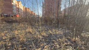СНТ Пехорка-1, городской округ Люберцы, 135