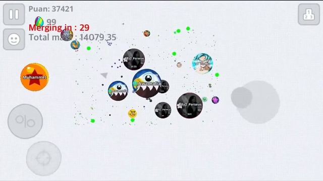 Playing with a fan agario