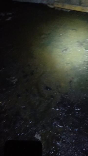21-03-2025