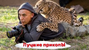 Лучшие приколы | Смех до слез | Подборка приколов 👍🔥