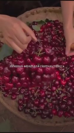 Лучшие фрукты для укрепления здоровья