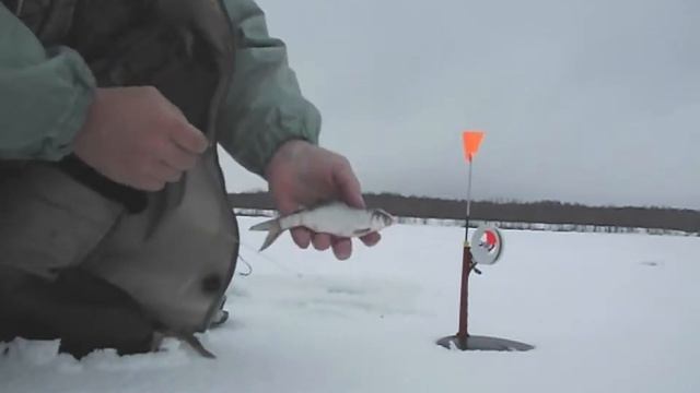 Зимняя жерлица №1 Курск Установка Насадка живца смотреть онлайн