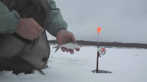 Зимняя жерлица №1 Курск Установка Насадка живца