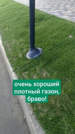 Какая от него тут польза? Он удерживает влагу и не даёт грунту скатываться с пологой поверхности