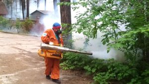 Обработка  от кровососущих насекомых генератором горячего тумана. Главное-НЕ ЗАБЛУДИТЬСЯ !