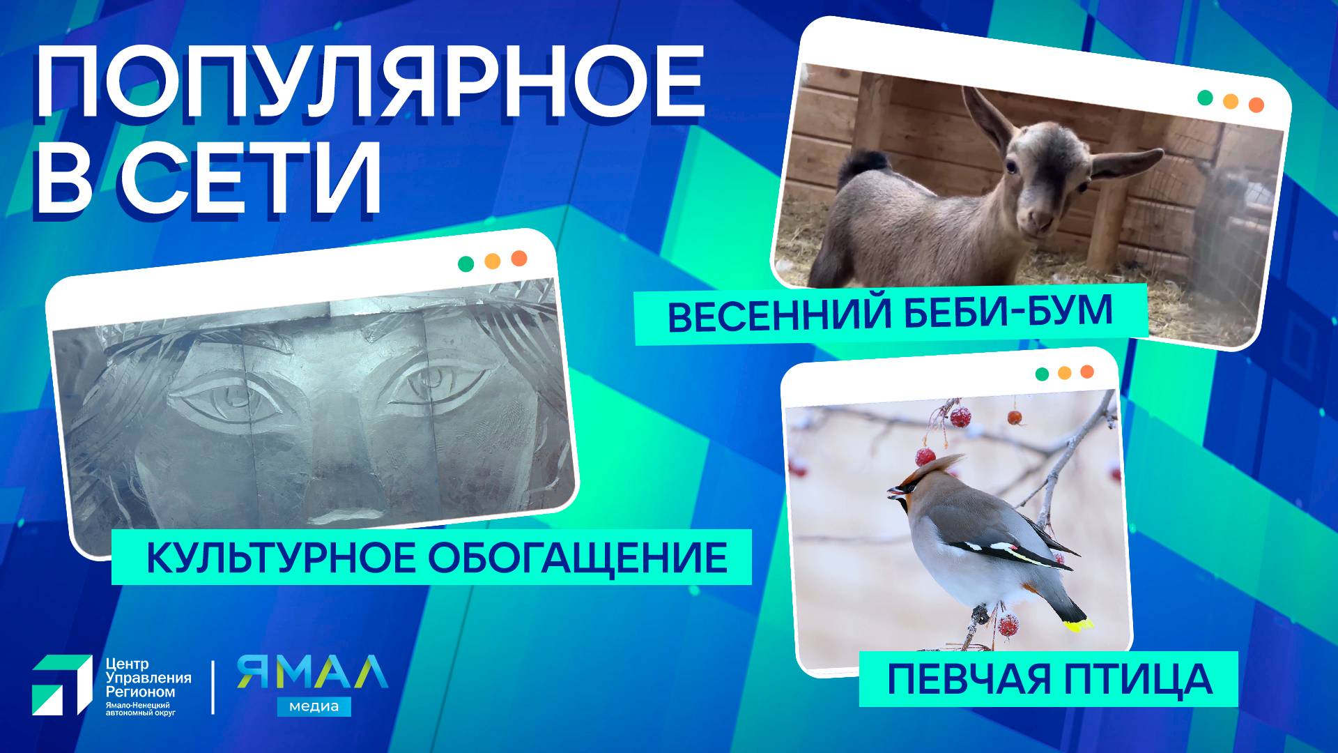 "Ямал-Медиа" продолжает обозревать популярные видео в интернете