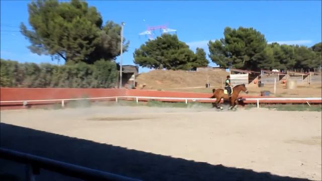 ♡ [COURS N°21] Saut du 27/07/2016 (Manon) ♡ смотреть онлайн