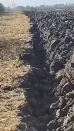 Смешавки.