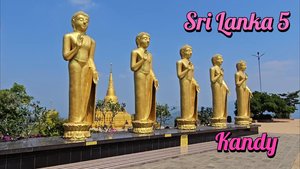 Sri Lanka | Kandy | дуриановое кафе и индивидуальная экскурсия