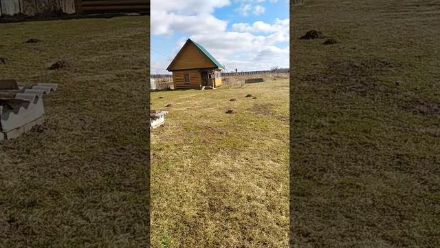 Началась рыбалка
