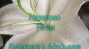 Назарово Роща 1980год