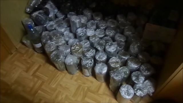 Командировка на Сахалин смотреть онлайн