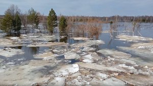 ОКА И РЕССЕТА