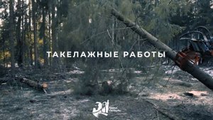 Полная Расчистка Участка: От Спила Деревьев до Дробления Пней