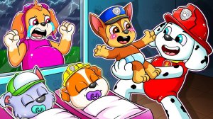 Мультики для детей, Щенячий Патруль, мультики смотреть бесплатно, мультфильмы про животных детям