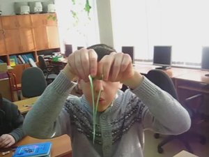 Physics _Сильный_ шприц и листочки