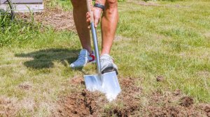 Лопата садовая штыковая заостренная Berry&Bird