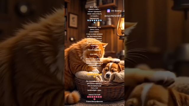 Перемены к лучшему