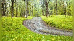 Весенний ветер( авторская песня)