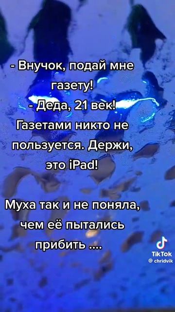 мемы