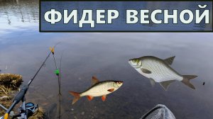 Рыбалка на фидер в марте
