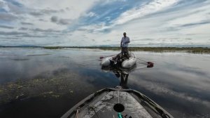 Совместная охота на сазана