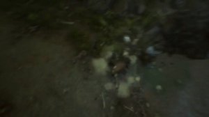 Mortal Shell - Official Announcement Trailer