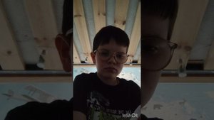 колокольчик Австралия