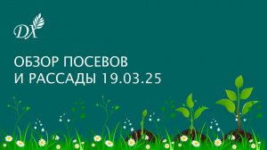 Обзор рассады 19_03_25