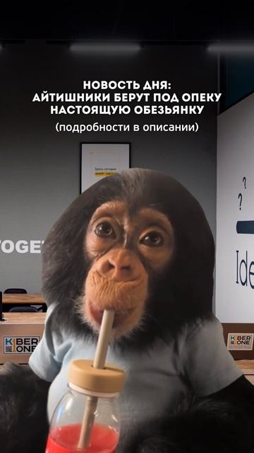 Первая международная кибершкола для детей #ITшкола #детскоеобразование #lTобучение