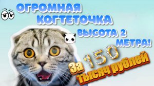 Огромная когтеточка для домашних любимцев, стоимостью 150 тысяч рублей!