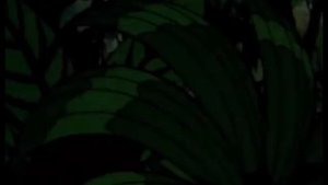 Jungle Cubs: All Openings Theme Song (NTSC)