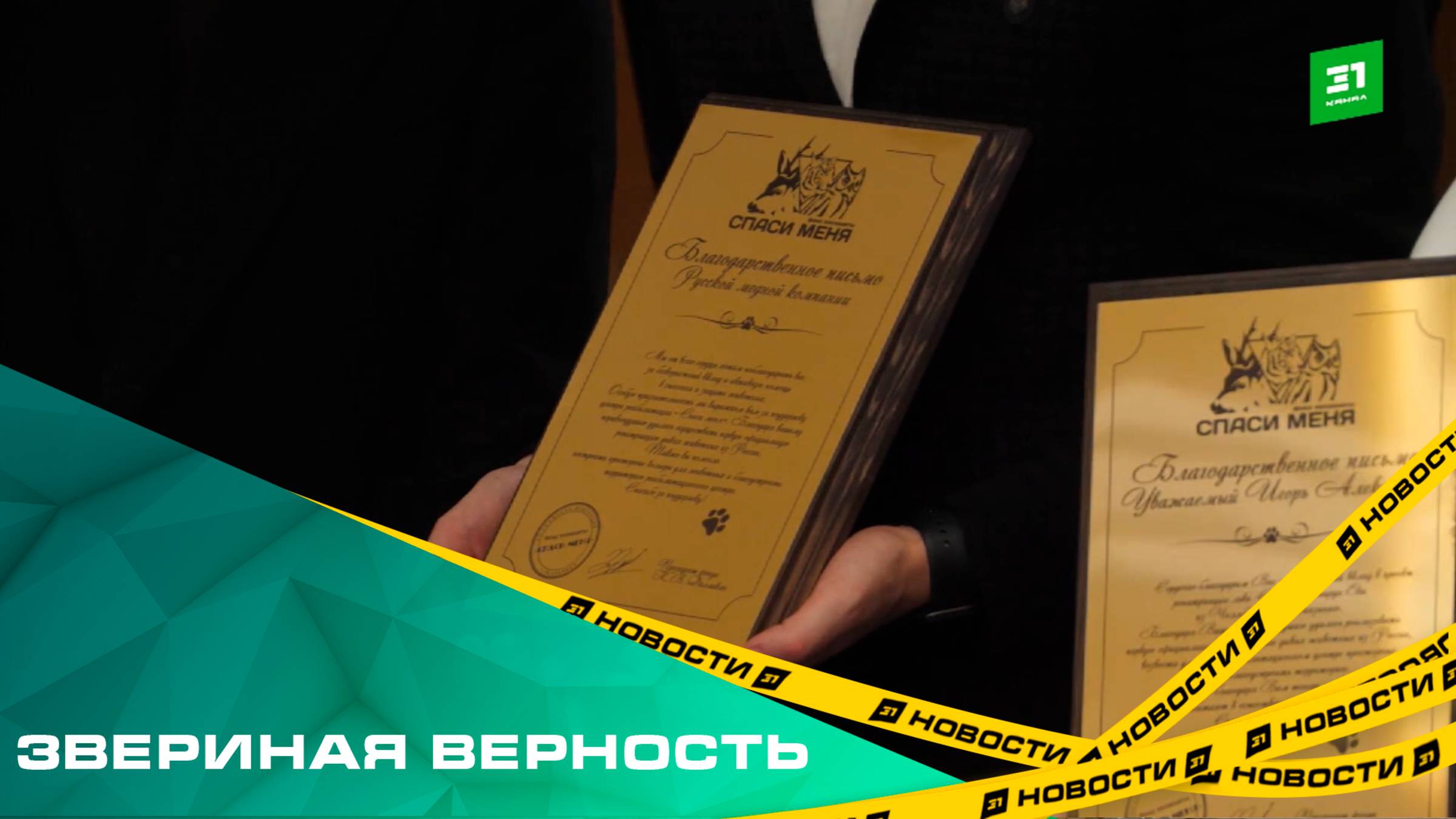 Звериная верность. Приют «Спаси меня» отмечает 10-летний юбилей